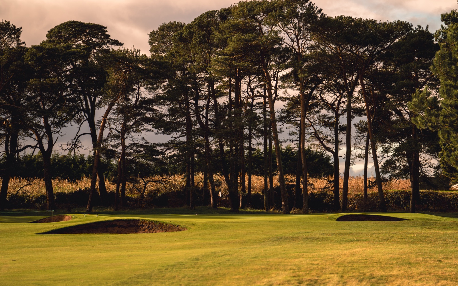 The Pines, hole 3 at Panmure